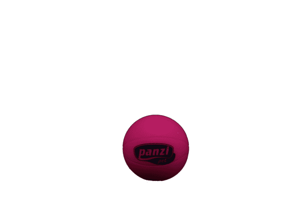 Panzi Basketbal 8cm
