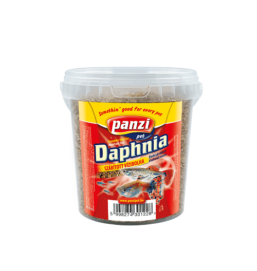 Daphnia