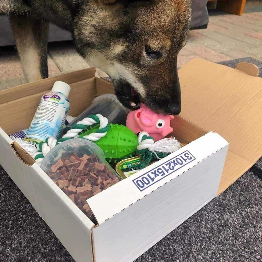 Inhoud panzi-box shikoku
