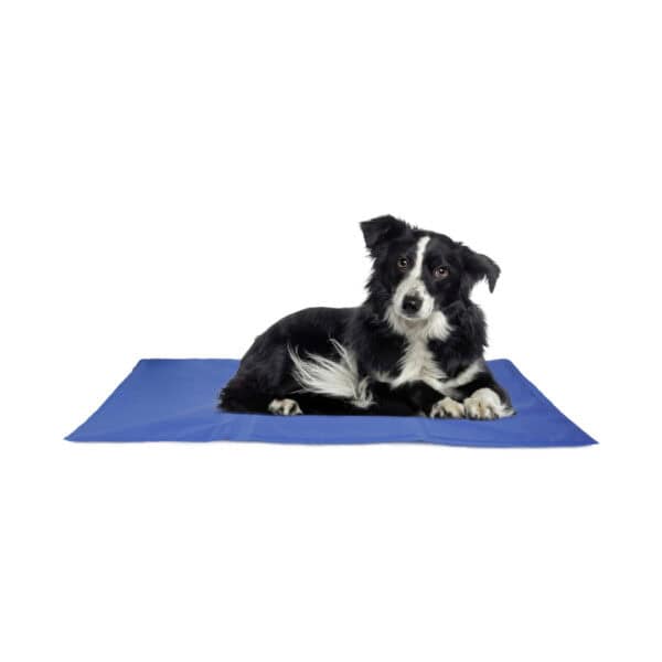Hou je hond urenlang koel tijdens warme dagen met de zelfkoelende koelmat, zonder extra koeling of stroom. Makkelijk schoon te maken en opvouwbaar!