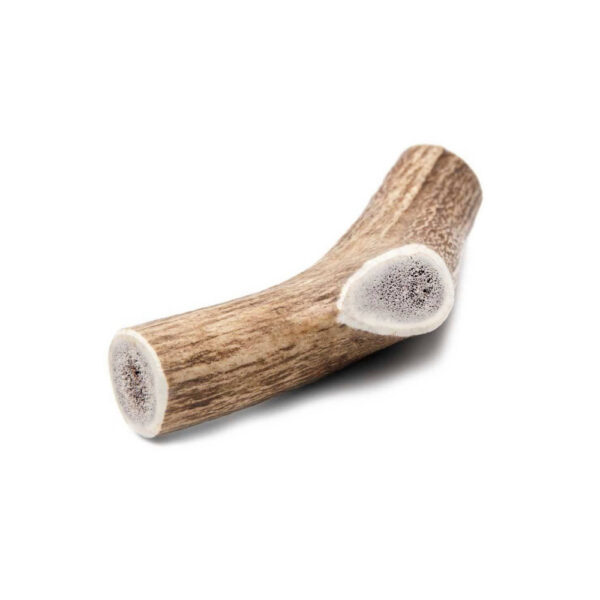 Hertengewei is een van de hardste en meest duurzame kauwsnacks voor honden. Verkrijgbaar in verschillende maten/gewichten, voor elke hond wat wils!