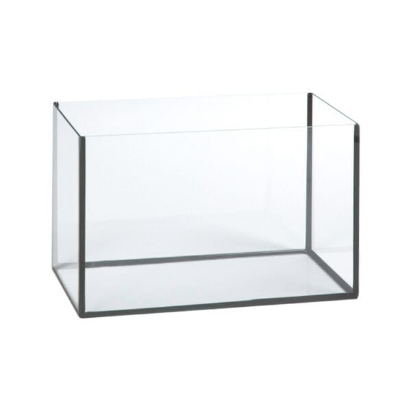 Aquarium Basic