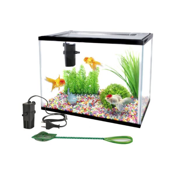 Aquarium Lollipop